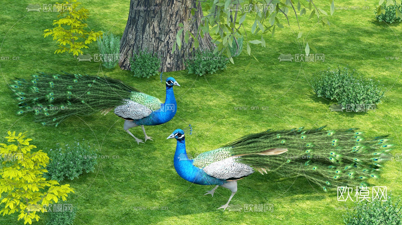 现代蓝孔雀3d模型
