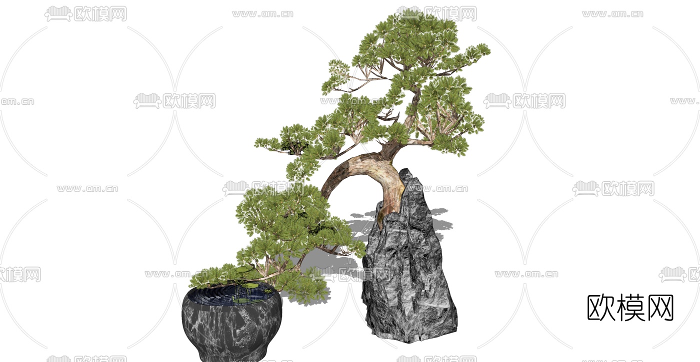 新中式罗汉松树景石小品su模型