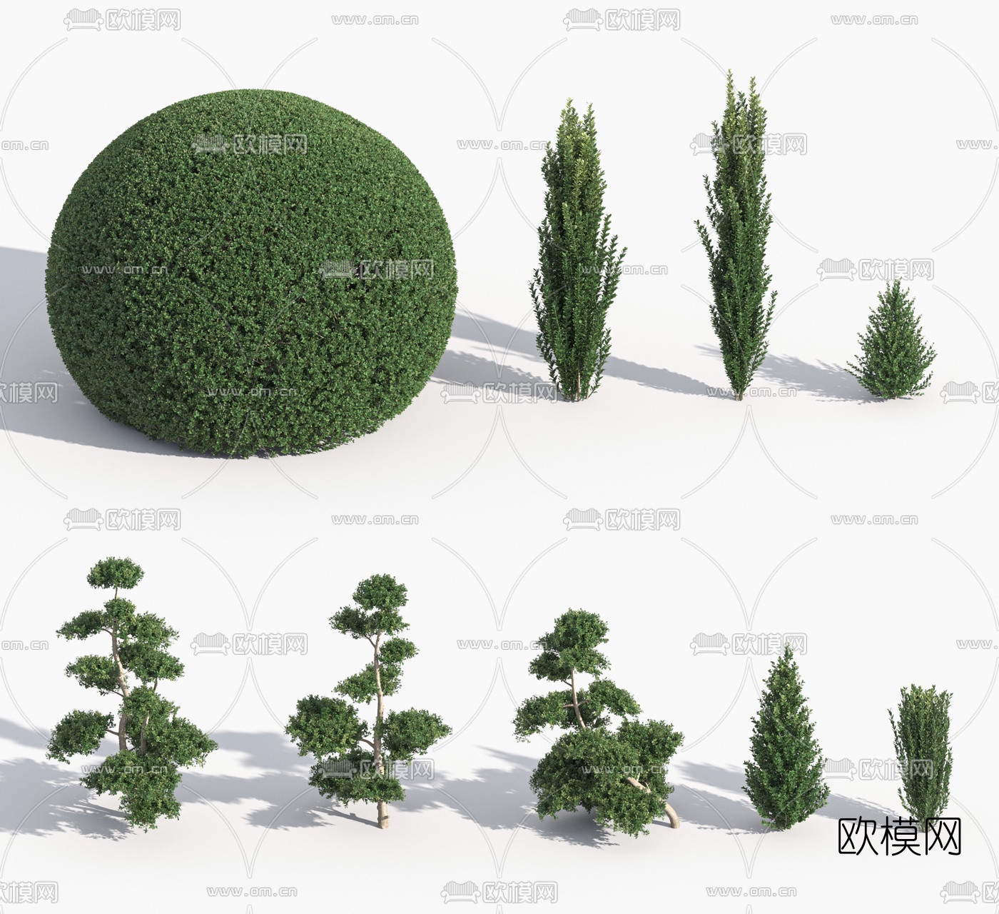 现代灌木景观树3d模型