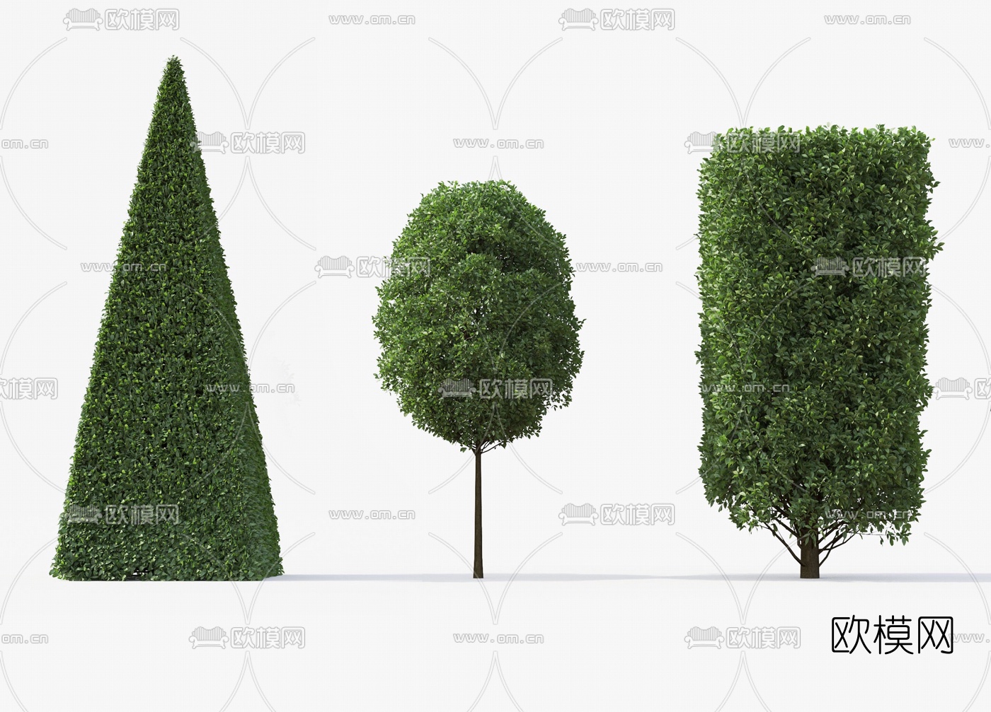现代灌木景观树3d模型下载