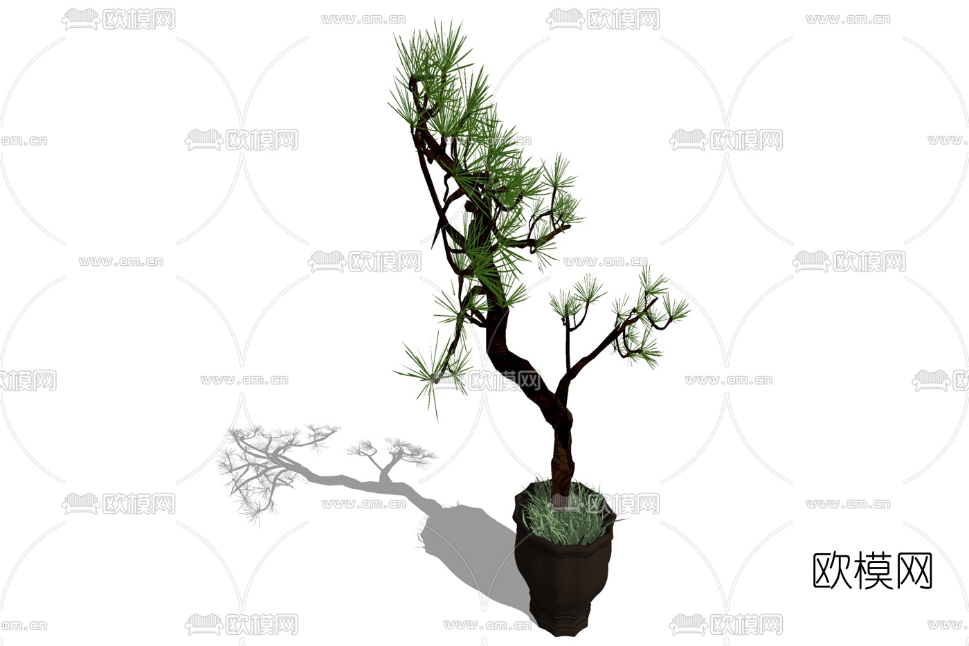 现代景观树盆栽免费su模型下载