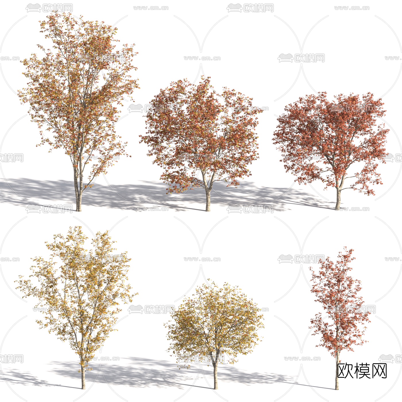 现代秋季树景观树3d模型
