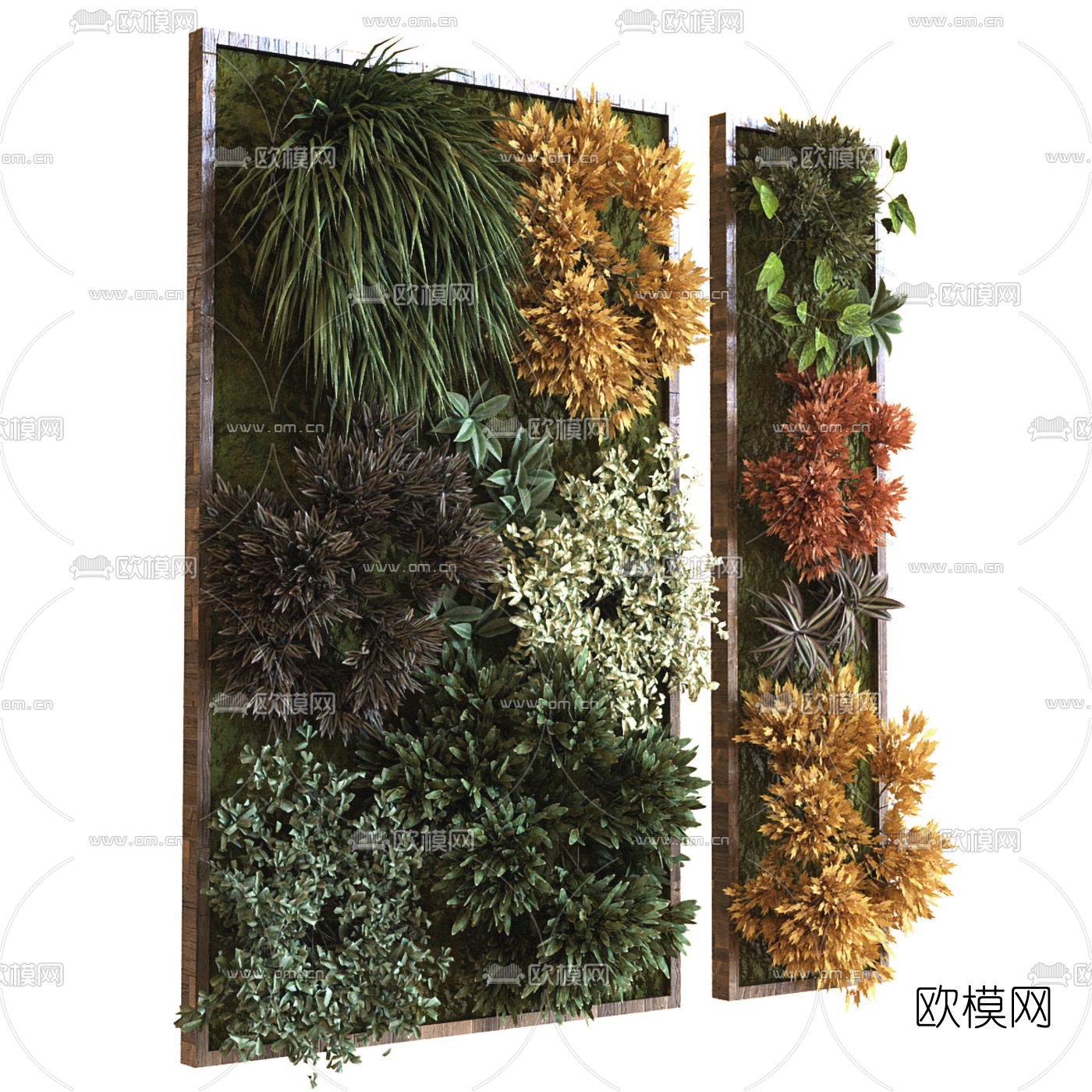 现代花草绿植植物墙3d模型下载（渲染图2）