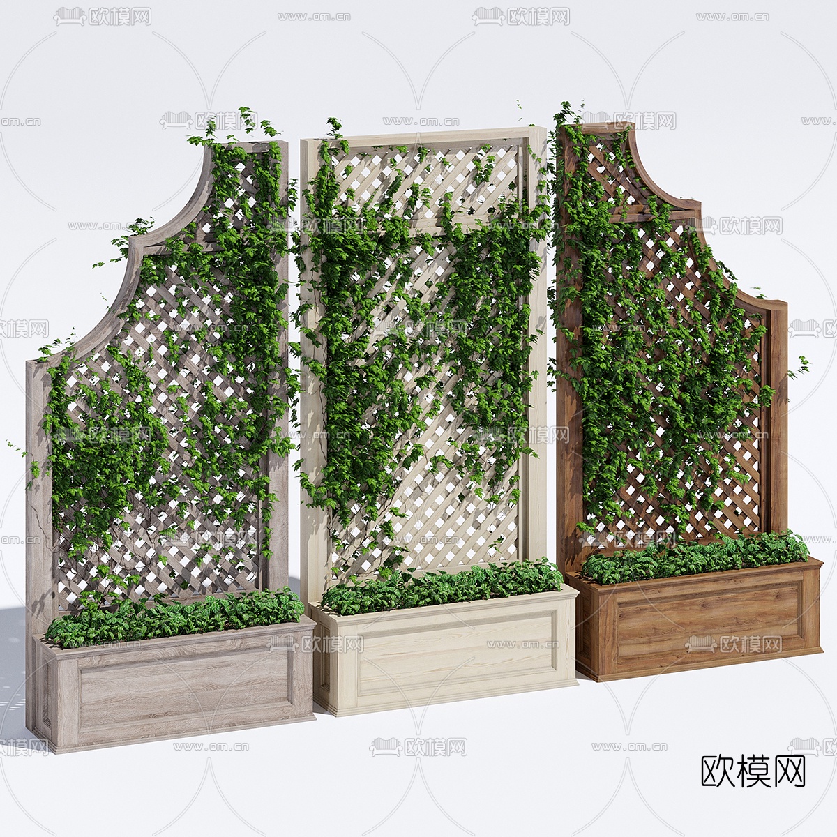 现代绿植藤蔓3d模型