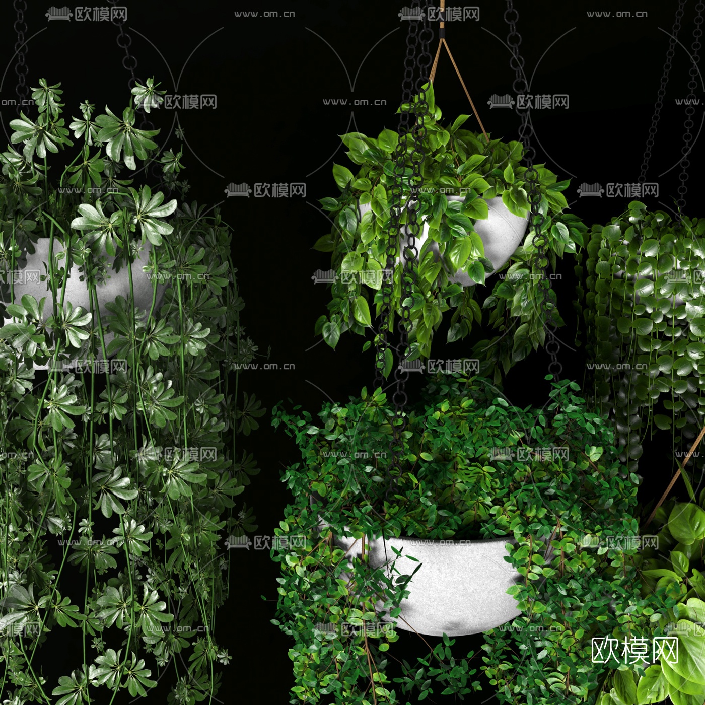 现代吊篮盆栽3d模型下载（渲染图4）