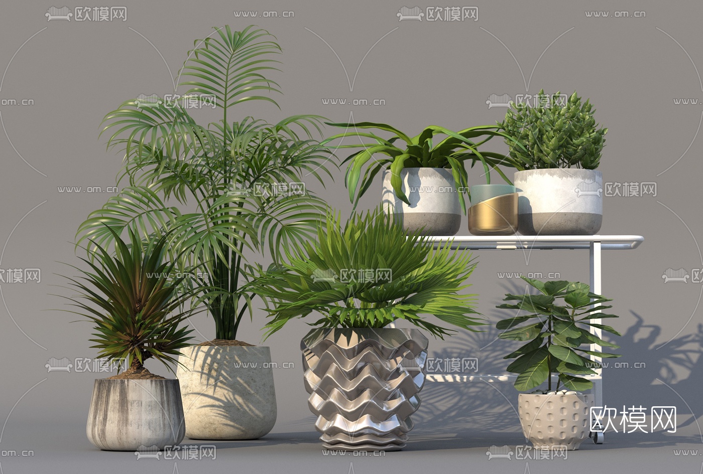现代绿植盆栽3d模型