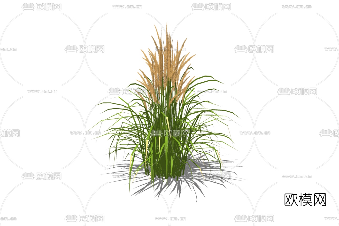 现代小麦su模型下载