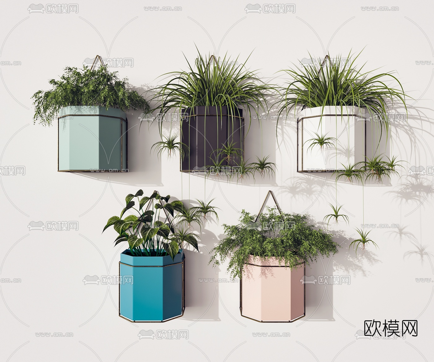 现代挂墙绿植盆栽3d模型下载（渲染图1）