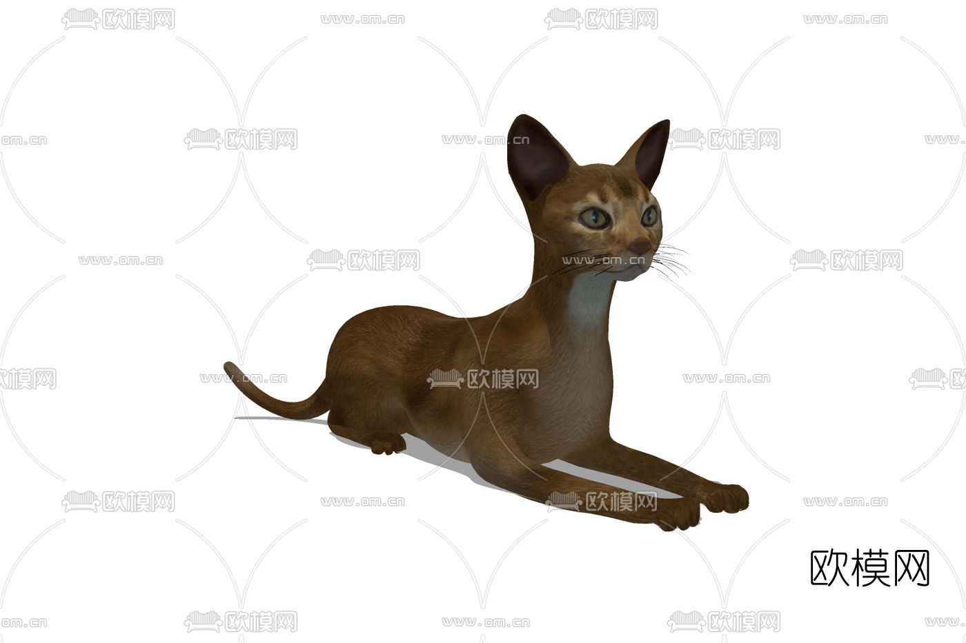 欧式柯尼斯卷毛猫免费su模型