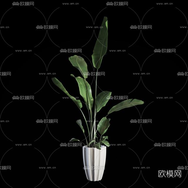 现代绿植盆栽免费3d模型下载