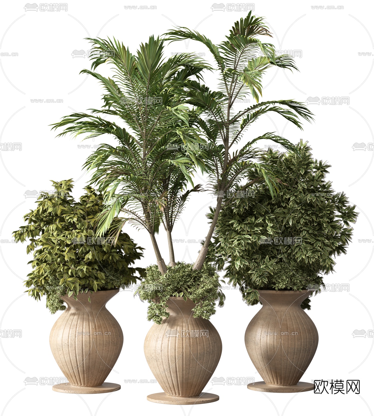 盆栽植物3d模型下载-3dmax模型免费下载-欧模网