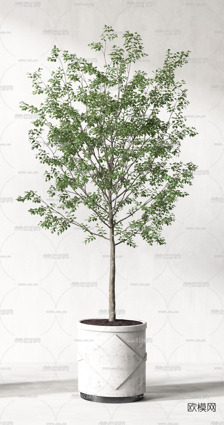 现代绿植盆栽3d模型