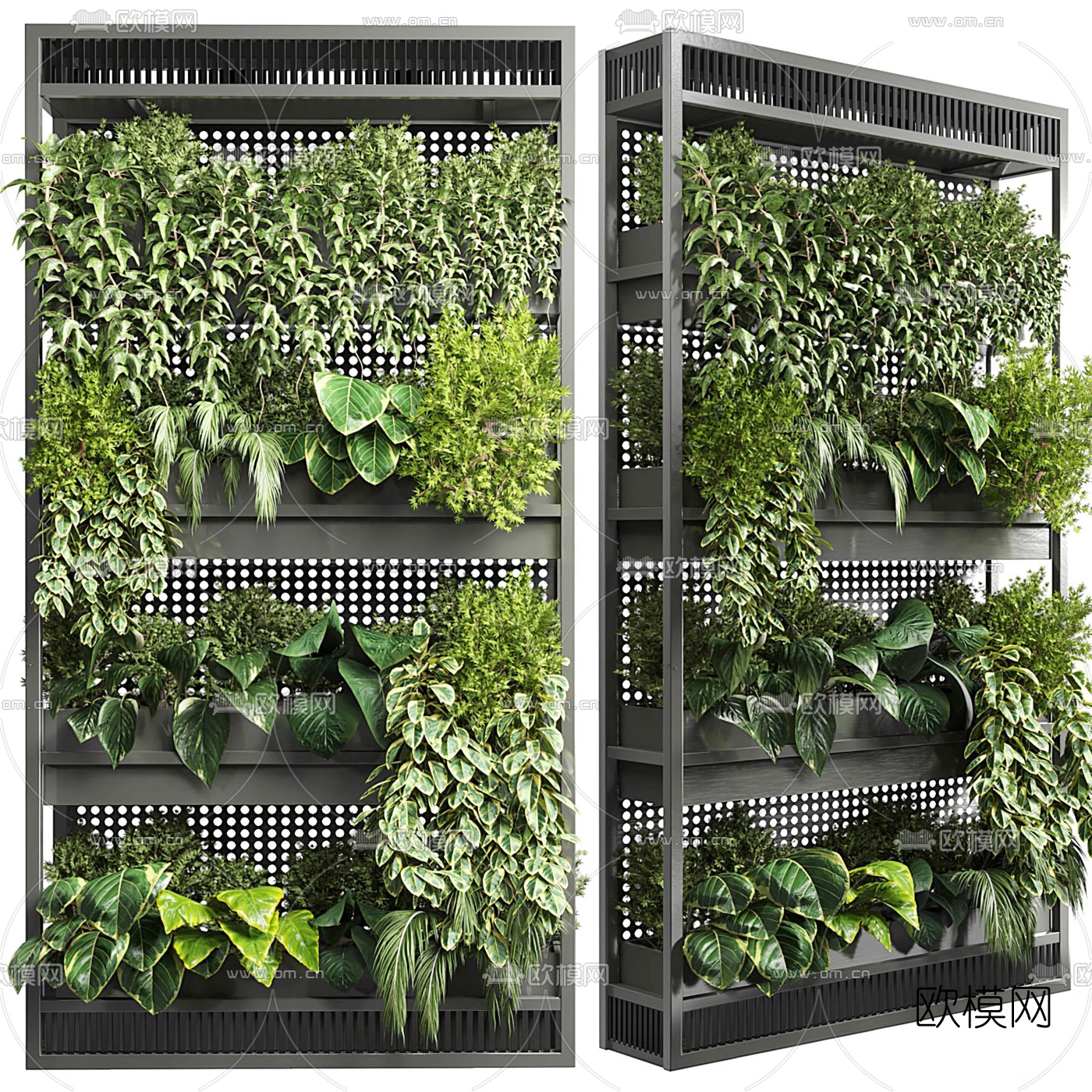 现代绿植盆栽植物架3d模型下载（渲染图2）