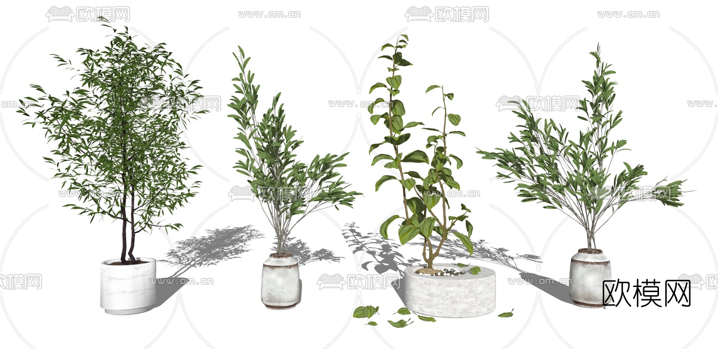 现代植物盆栽su模型