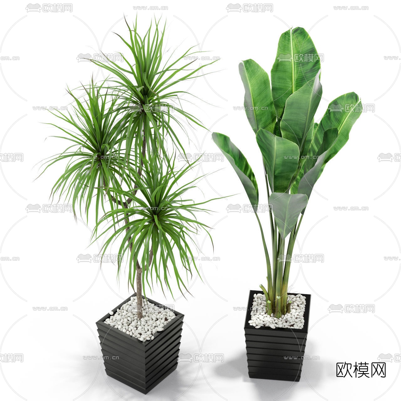 现代绿植盆栽3d模型