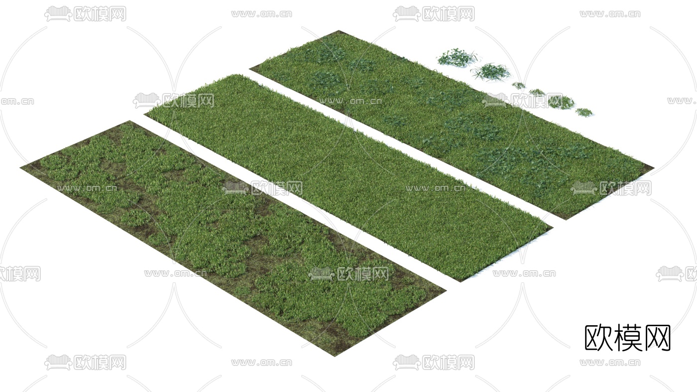 现代绿植草坪3d模型下载（渲染图3）