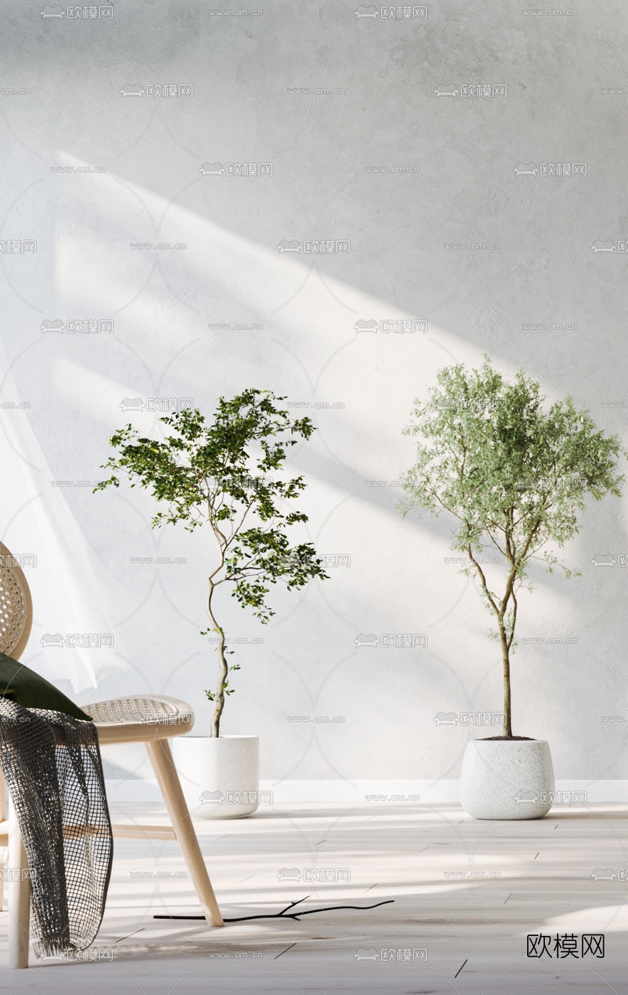 现代植物盆栽3d模型下载（渲染图2）