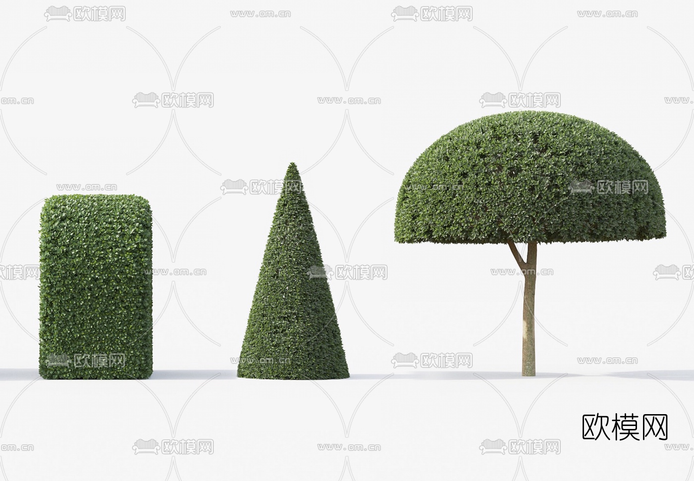 现代灌木景观树3d模型