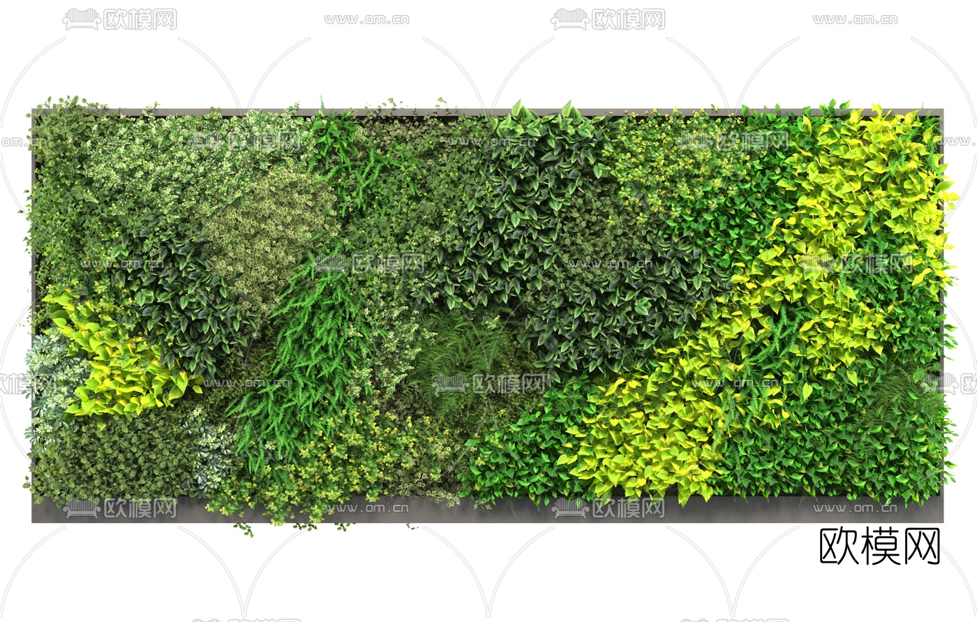 现代花草绿植墙3d模型