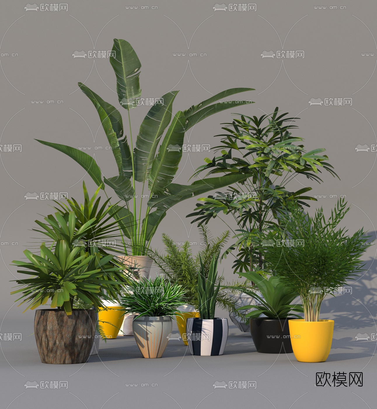 现代芭蕉植物盆栽3d模型下载