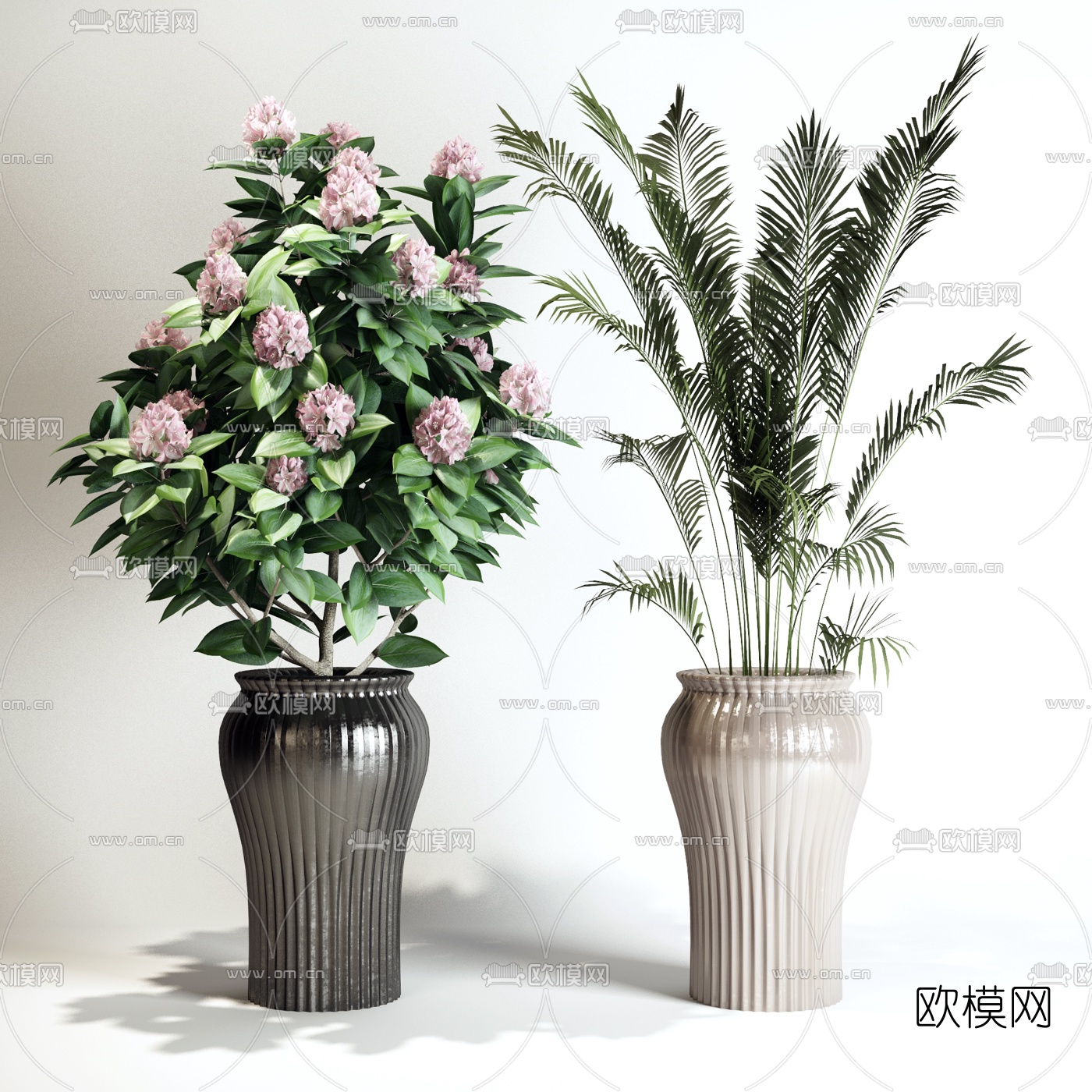 现代山茶花盆栽3d模型-免费3dmax模型库-欧模网