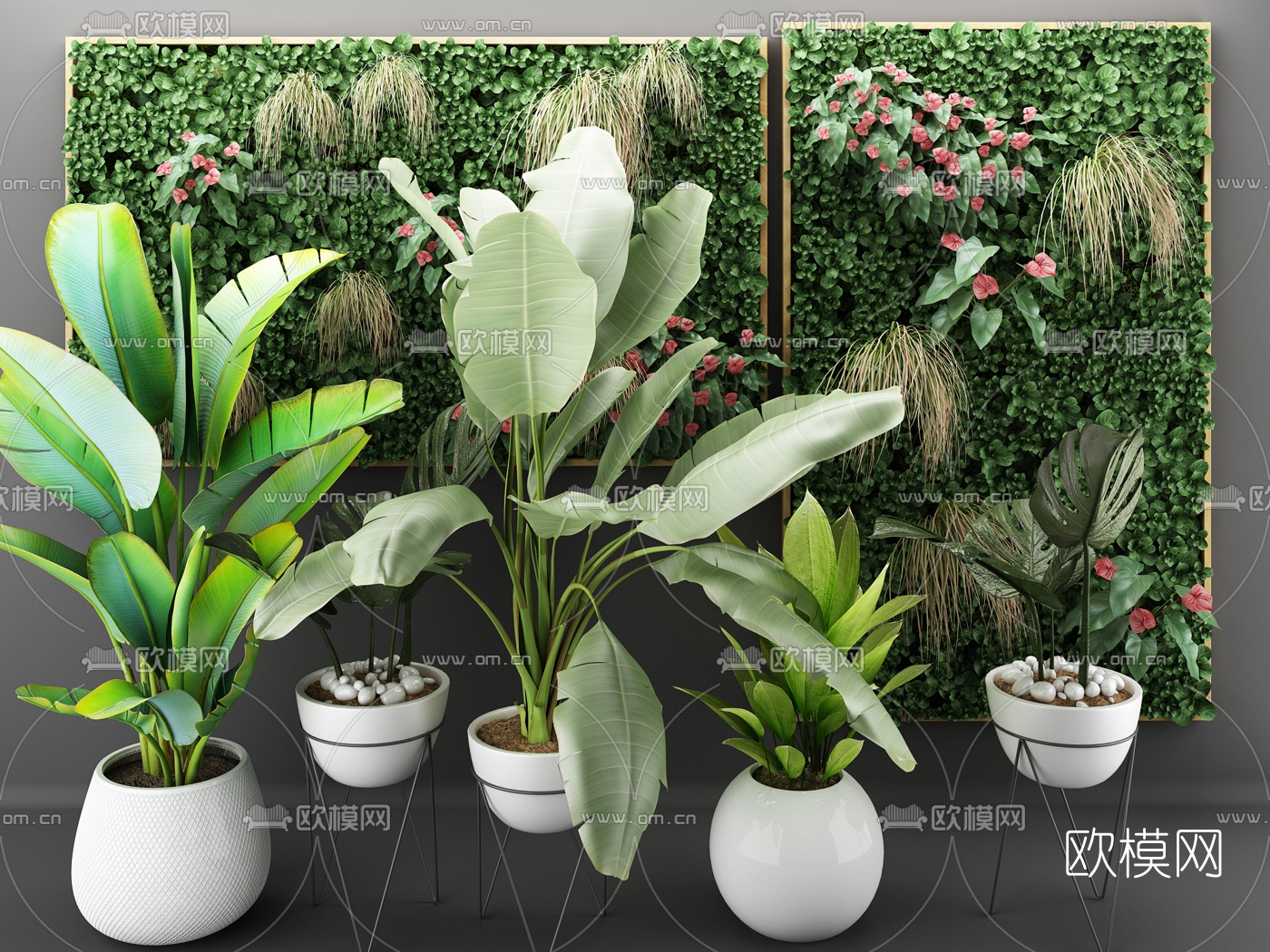 北欧绿植植物墙花草盆栽3d模型