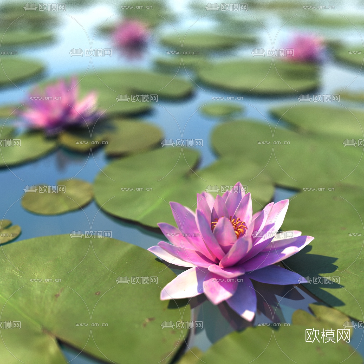 现代荷塘莲花3d模型下载