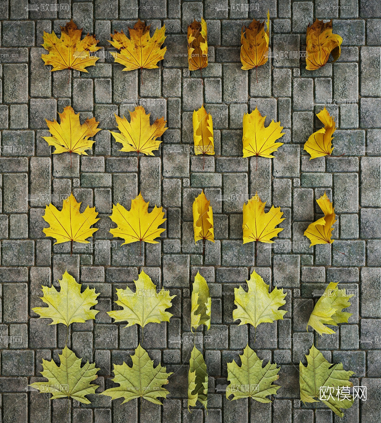 现代枫叶墙饰3D模型下载（渲染图1）