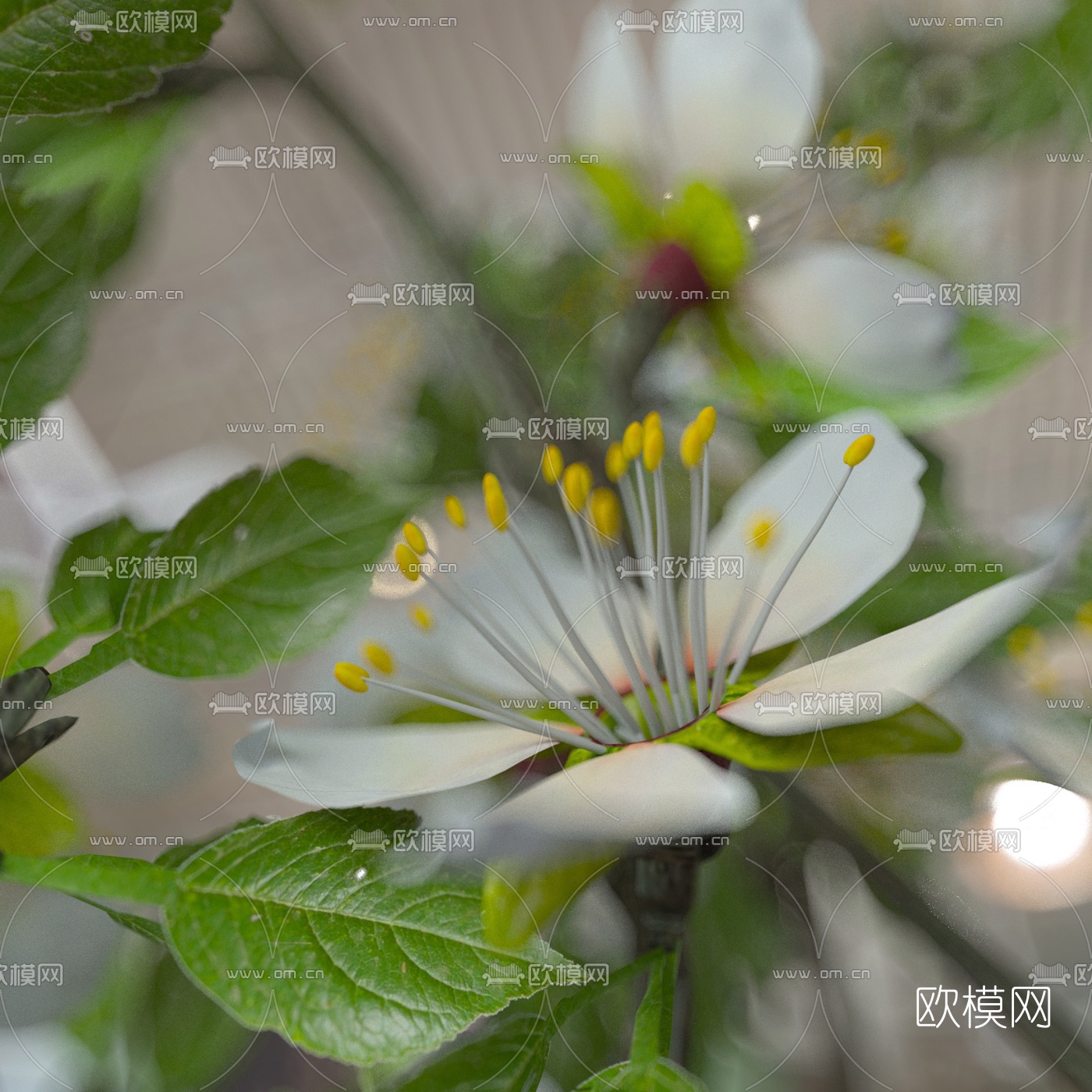 现代陶瓷花瓶李花插花3d模型下载（渲染图2）