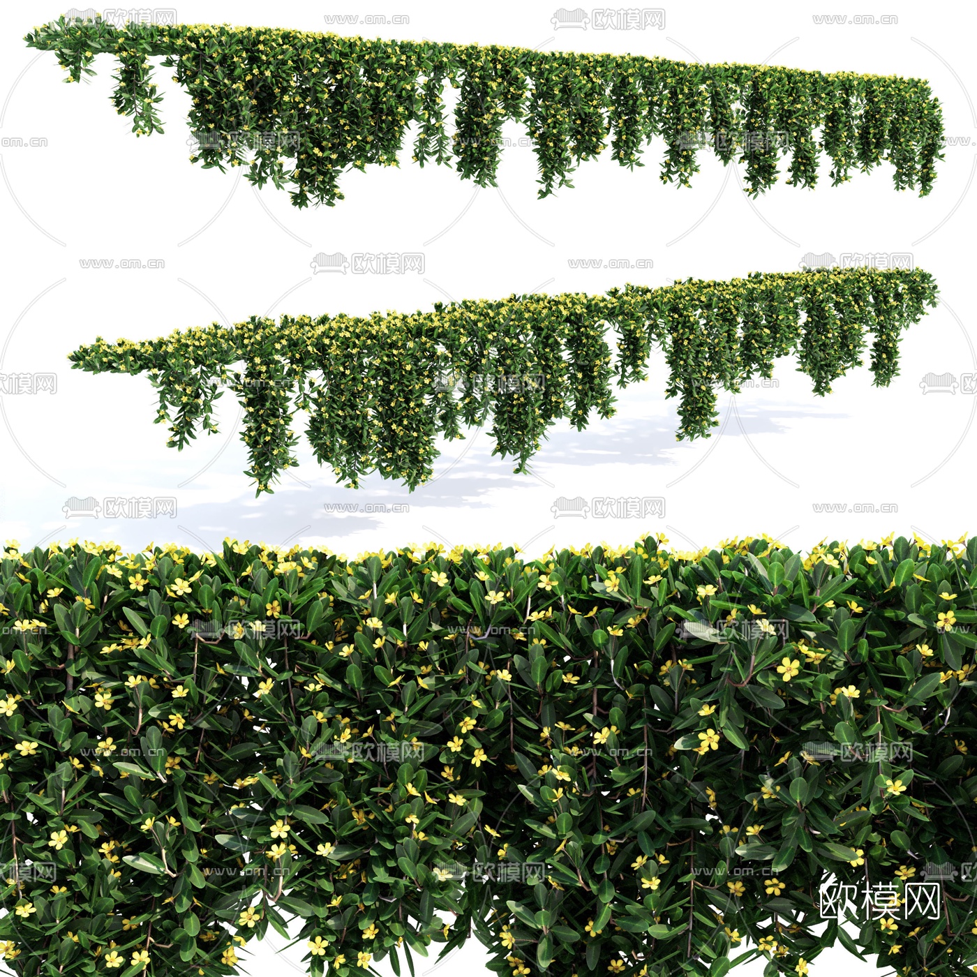 现代绿植藤蔓3d模型