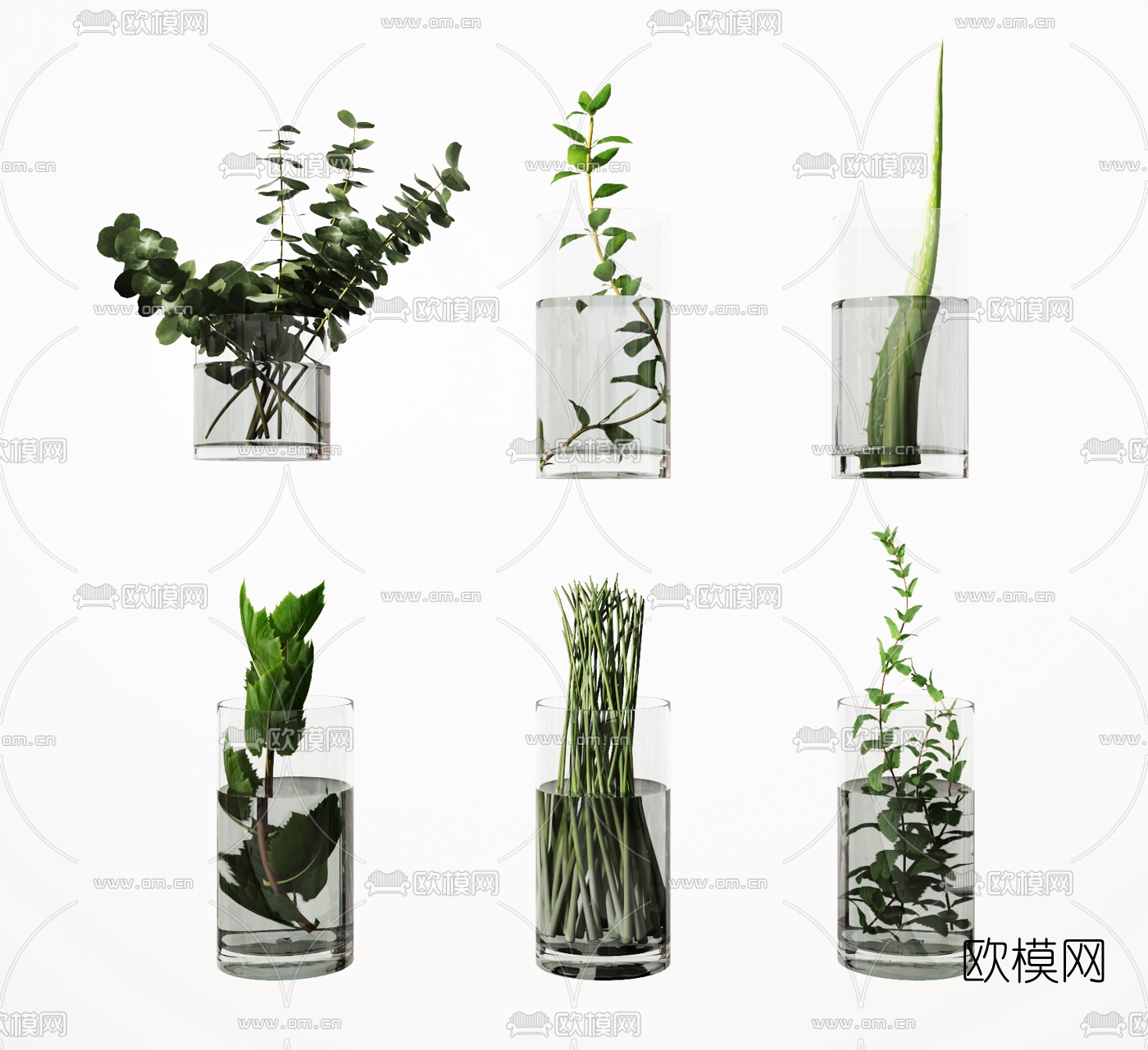 现代玻璃花瓶水生植物3d模型下载