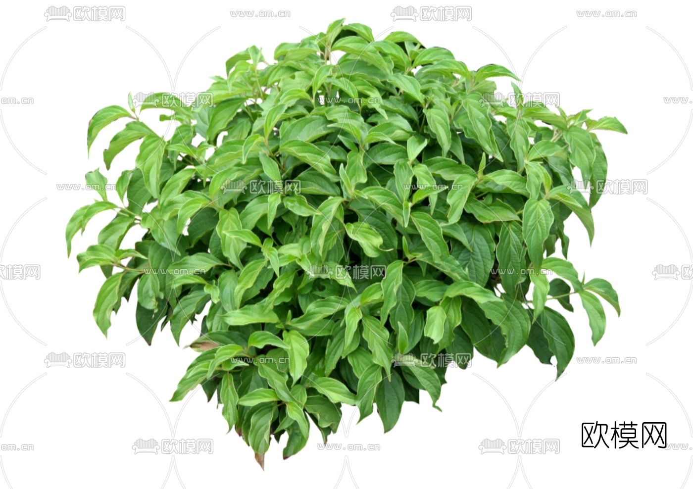 现代2d灌木组件免费su模型下载