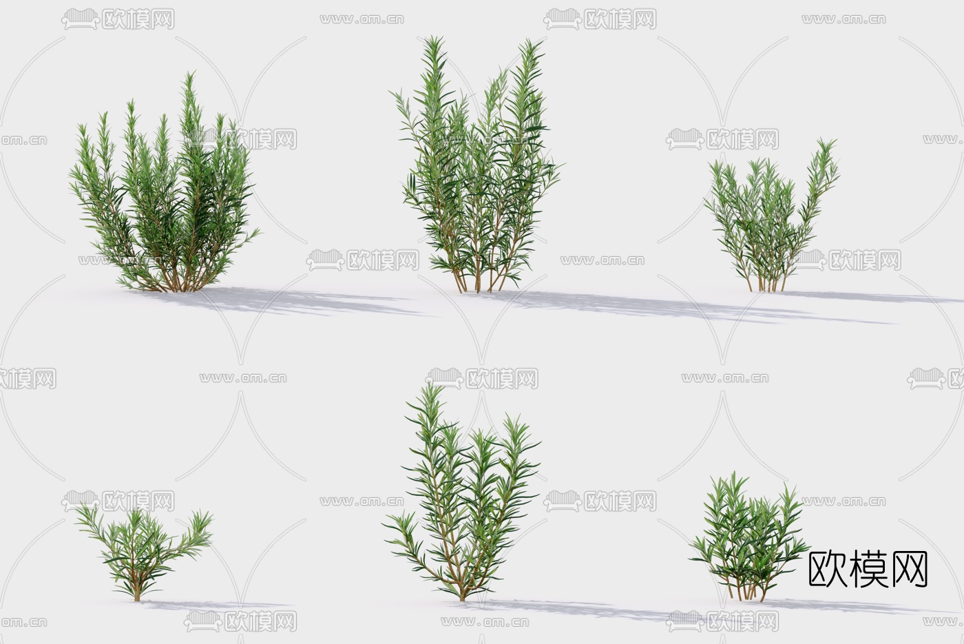 现代绿植花草3d模型