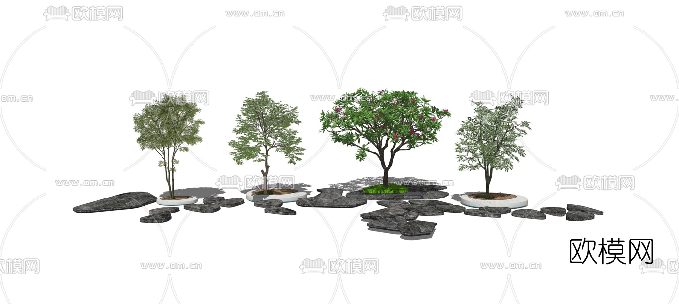 现代行道树景观树su模型下载