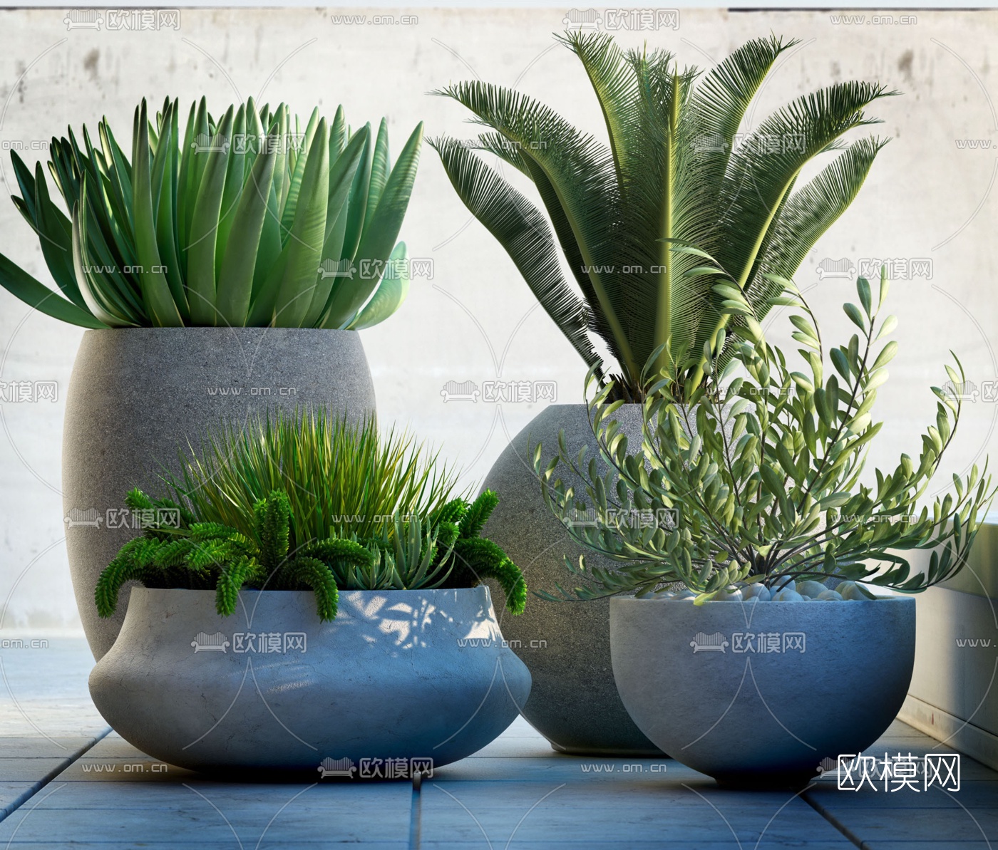 现代盆栽植物3D模型