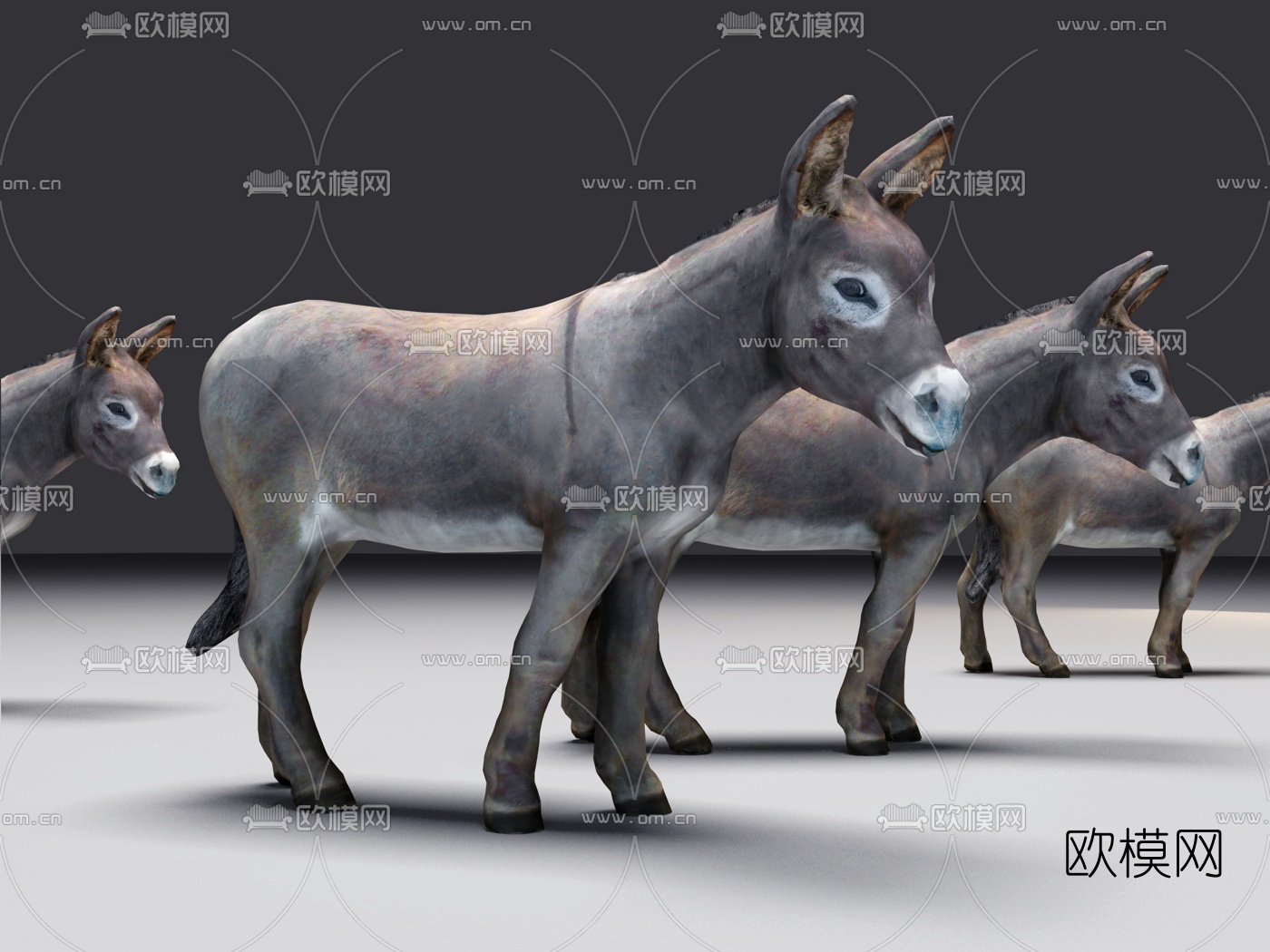 现代动物小毛驴3d模型下载（渲染图1）