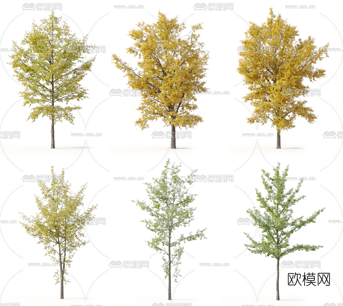 现代景观树组合3d模型下载