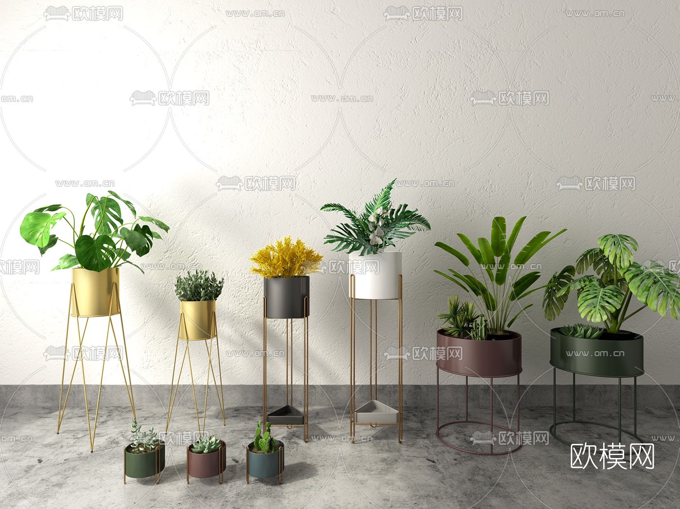 现代盆栽植物组合3d模型