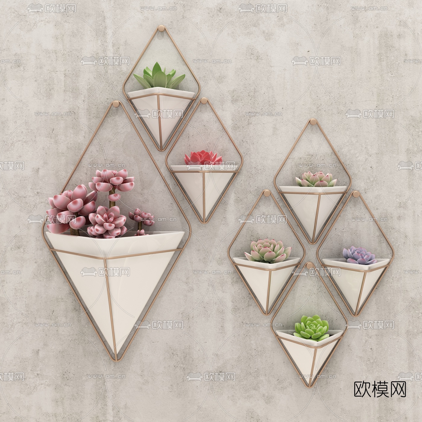 现代墙挂饰多肉植物3d模型下载