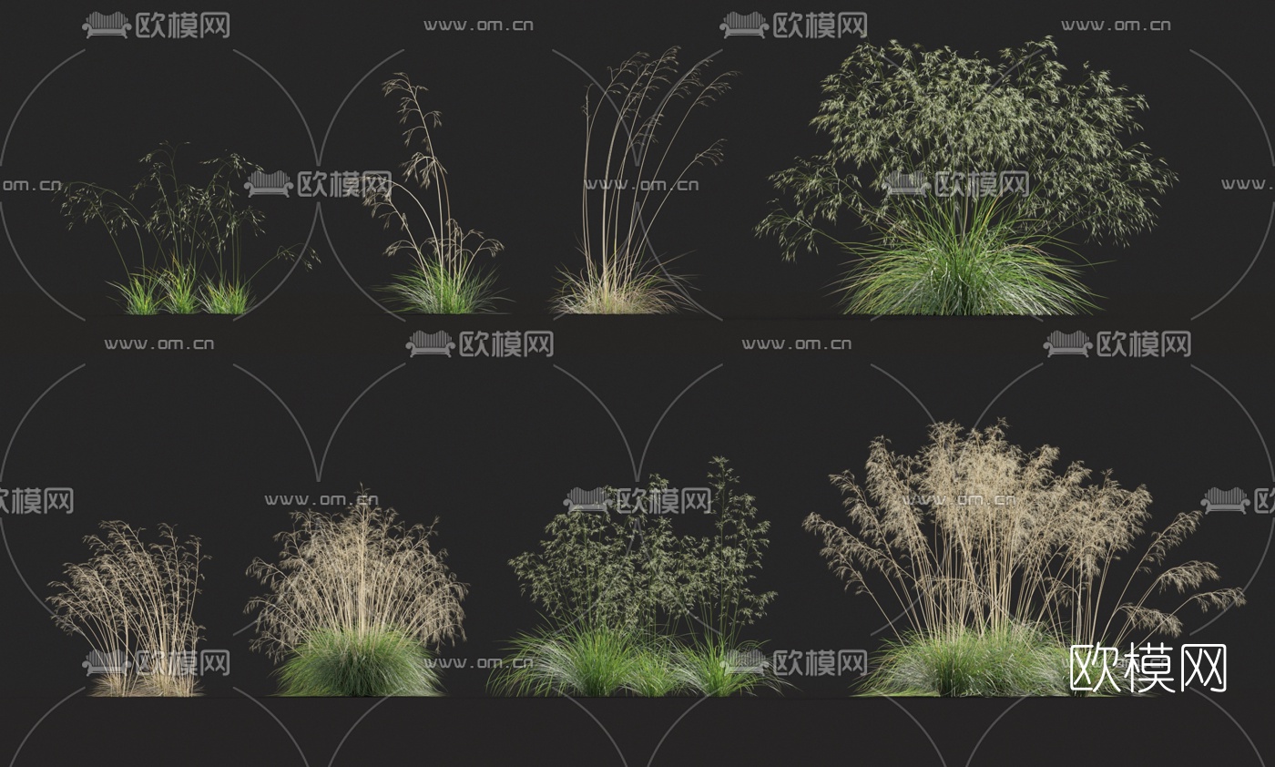 现代花草3d模型