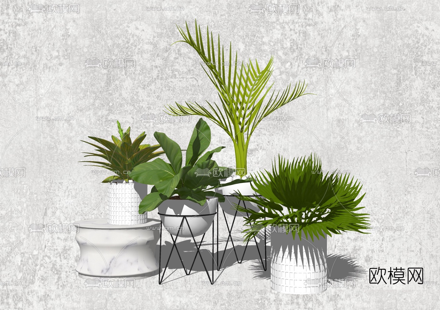 现代植物盆栽组合su模型-免费3dmax模型库-欧模网
