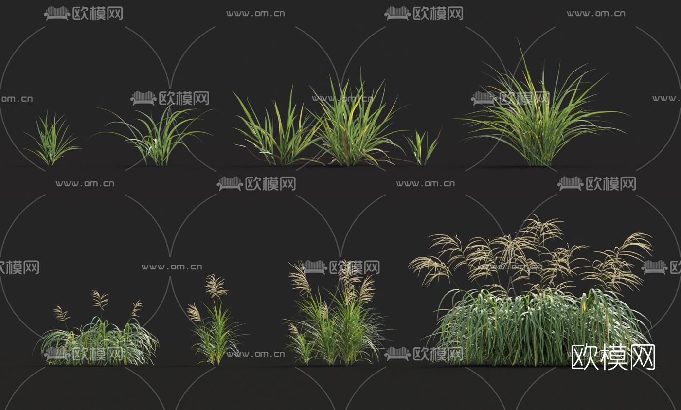 现代花草3d模型