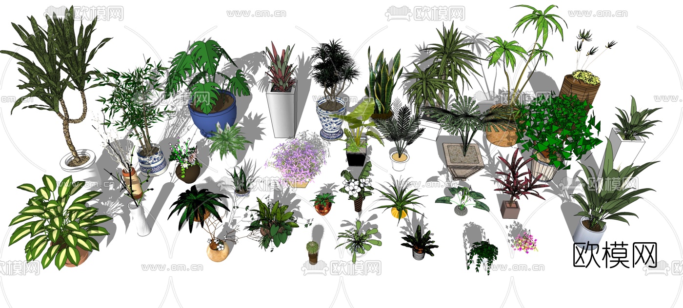 现代植物盆栽花盆组合su模型下载