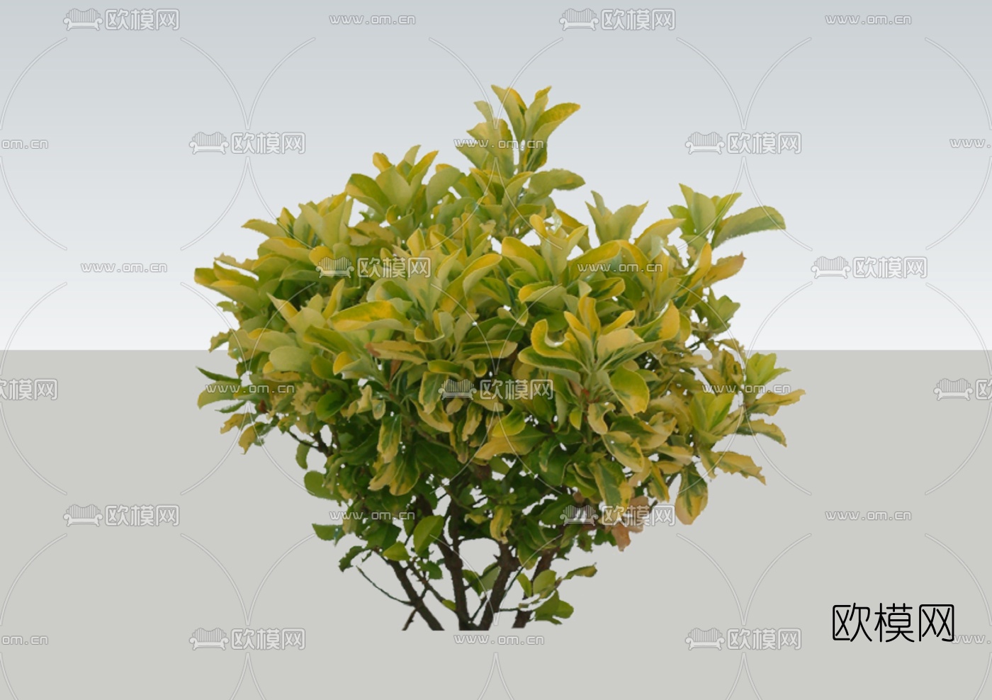 现代2d灌木组件免费su模型下载