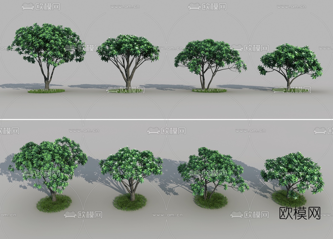 现代景观树3d模型下载