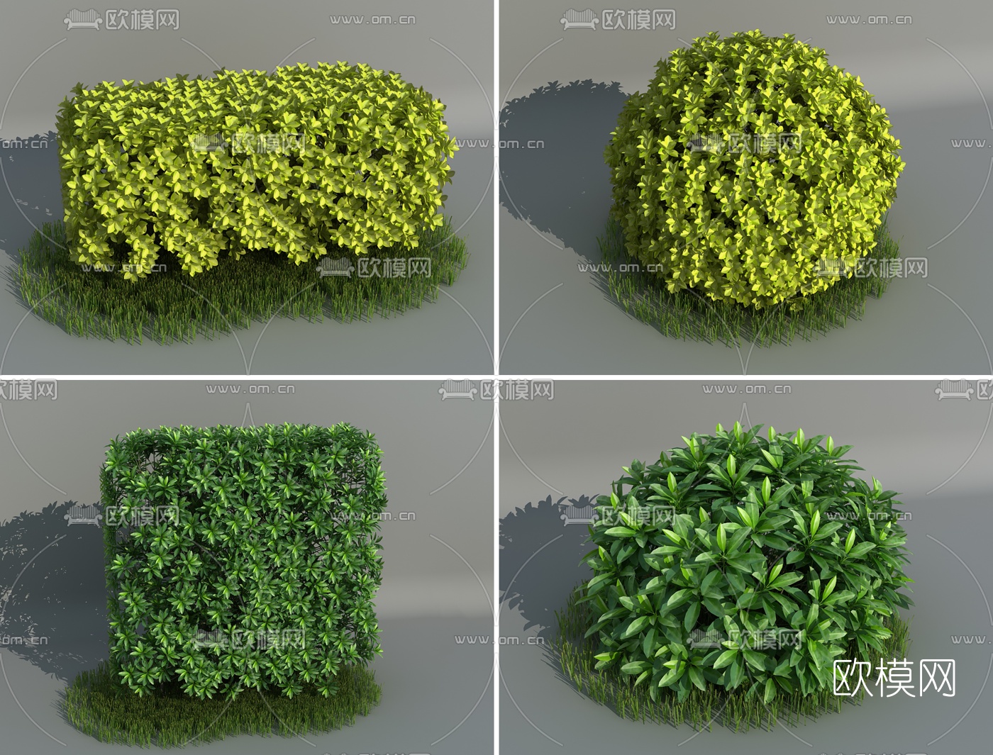 现代灌木组合3d模型下载