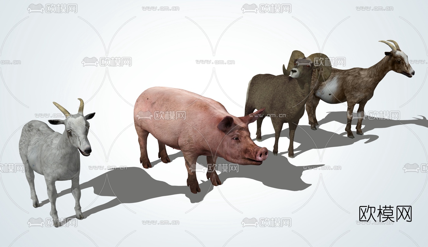 现代家畜猪羊su模型下载（渲染图1）