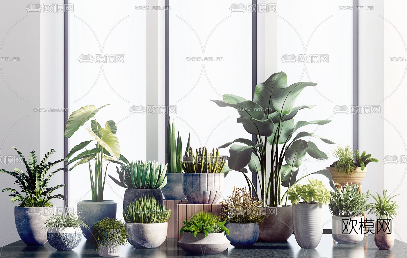 现代绿植盆栽3d模型下载（渲染图1）