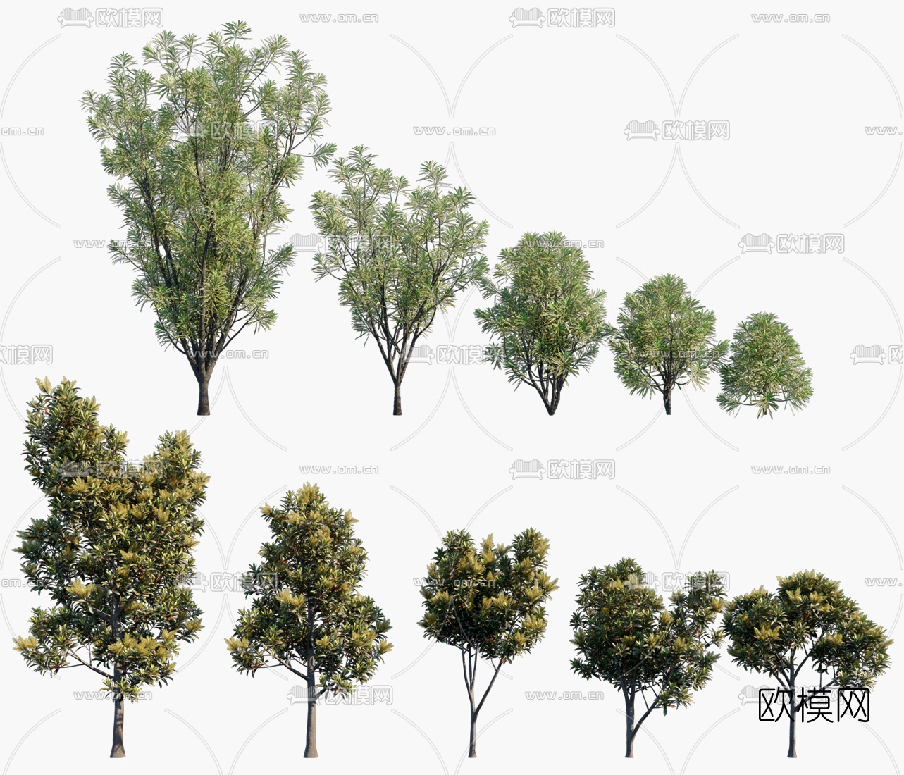现代树木景观树3d模型