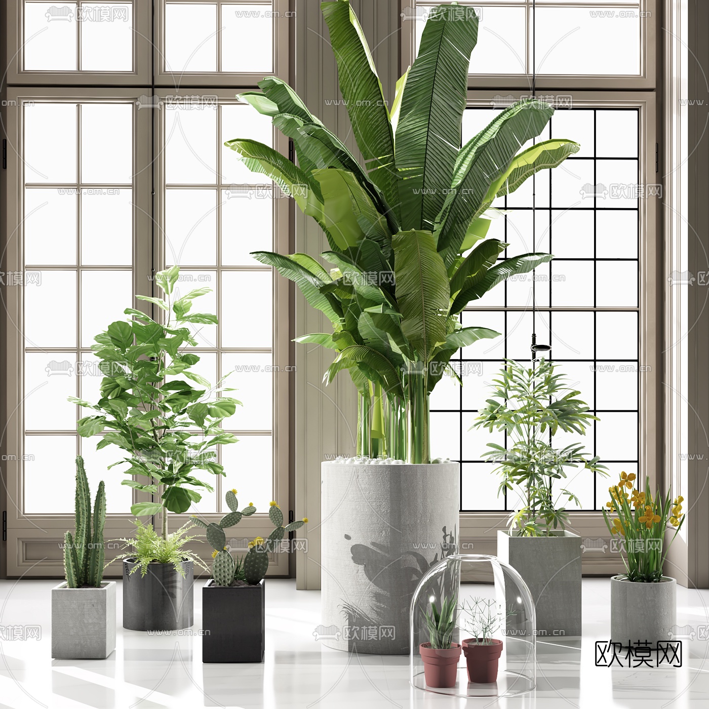 现代植物盆栽3d模型-免费3dmax模型库-欧模网